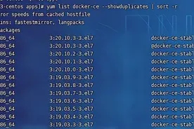 Springboot项目使用docker部署图片