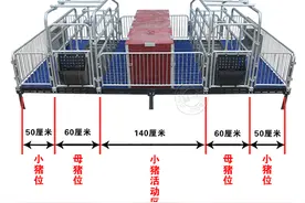 养猪设备母猪产床的分类及尺寸介绍图片