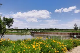 水清岸绿，十一玩转滹沱河！七大主题公园32个景观节点串起大湖大河图片