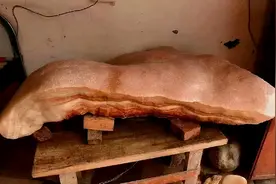 老汉砍柴时捡到“猪肉石”，有人出10万老人拒绝，鉴定结果如何图片