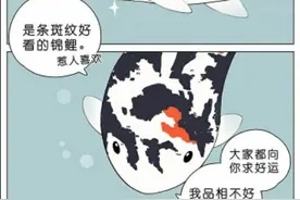 短篇漫画《大哥就是大哥，我服气》图片