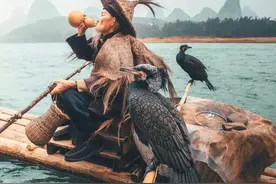 俗语“七月蜂、八月蛇、九月黄鳝惹不得”，老祖宗为啥这样忠告？图片