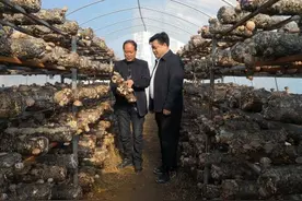 秦洁：搭桥梁做纽带“挂职”更“挂心”图片