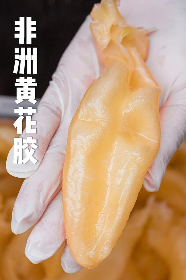 石蜂糖可以炖花胶吗 2026年石蜂糖可以泡水喝吗