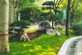 "扮靓"郑州！北林地景这样做图片