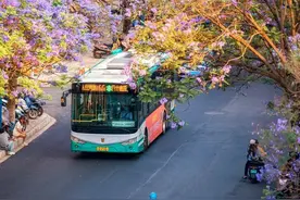 比成都慵懒，比大理更慢，这座被低估的春城，太适合养老了吧图片