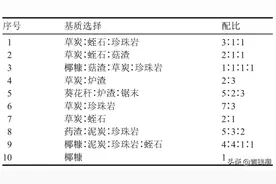 河北小果型西瓜基质栽培技术规程图片
