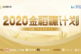 2020年金稻穗计划正式启动，“三农”领域内容创作者快来报名啦！你会是下一个“巧妇9妹”吗图片