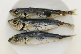 妈祖故里 | 巴浪鱼之味图片