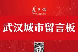 光谷喻家山学校、汤逊湖小学建设情况如何？有回复了图片