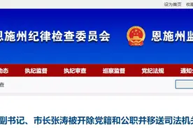 利川市原市长张涛被“双开”，并移送司法机关依法处理！图片