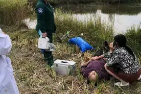 钓鱼人作死行为排行榜，每年逝去数百人，鱼再多也不值得冒险图片