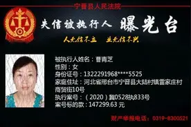 河北3市实名曝光！这95人将处处受限图片