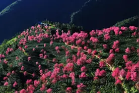 【公示】云南6县拟命名为卫生县城，大理州占了5个图片