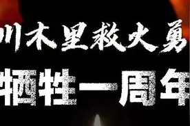 今天仍需铭记！31名凉山救火英雄：逆行者永不孤单图片