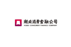 湖北消金公司被骗贷款253万元 湖北银行是其第一大股东图片