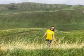 五月的新疆伊犁河谷，草原绿意浓，天山红花艳图片