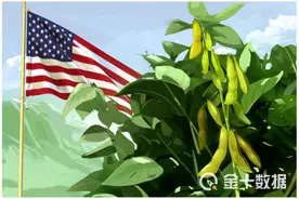 美国32吨大豆订单遭取消，豆粕关键设备又坏了？近20%出口或受限图片