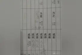 河南老家人寻找赴台老兵申成立：失联近八十年，未及时回信错过相认机会图片