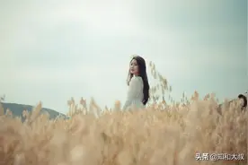 莫言《丰乳肥臀》：人生低谷的一个真相，不会明说但是很重要图片