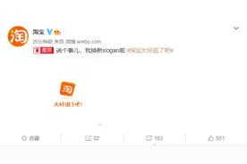 淘宝启用全新slogan：太好逛了吧图片