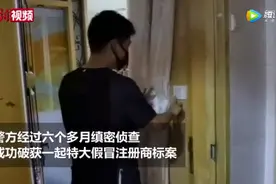 涉案过亿！假LV包竟能扫出官网链接，还比真品先上市？警方揭露背后玄机图片