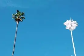 伤感说说忍不住流泪图片