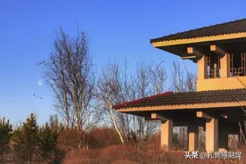 春风徐来 百花盛开图片