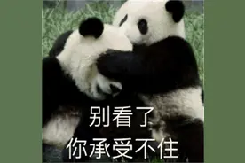 几百张手工羊毛毡翻车照片，让自暴自弃的日本妹子重拾信心图片