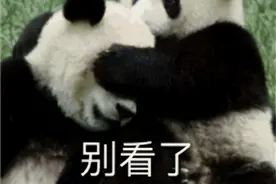 几百张手工羊毛毡翻车照片，让自暴自弃的日本妹子重拾信心图片
