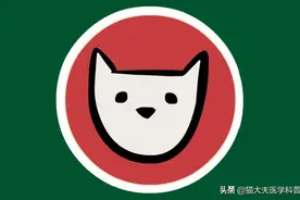 冬天双手皮肤干、痒、疼，怎么办？图片