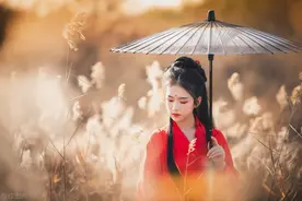 故事：她是婢子生下的庶女，在侯府不受宠爱，却惹得王爷一心求娶图片