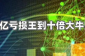 从百亿亏损王到十倍大牛股，传奇背后A股为何危机重重？图片