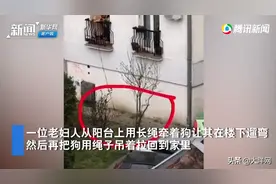 忍俊不禁！疫情下老太太阳台遛狗有奇招，狗子内心想“绝交”图片