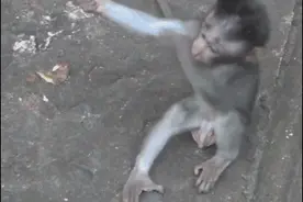 搞笑GiF：哥们加把劲！快到医院了图片