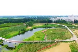 爱家乡 游河北 发现身边的美 | 行走大运河泊头段：运河古驿焕新晖，绘就发展新画卷​图片