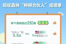 蚂蚁森林成绩单公布，里面有你的功劳吗？图片