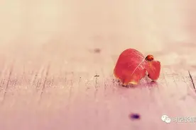 生活的样子到底是什么样子？图片