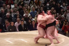 相扑选手，如何增肥的？为什么相扑选手的寿命短？图片