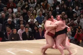 相扑选手，如何增肥的？为什么相扑选手的寿命短？图片