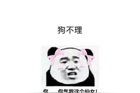 “单身的男孩子叫单身狗，单身的女孩子叫什么？”这回复太搞笑了图片