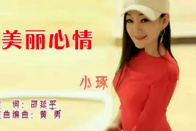 《美丽心情》-邵延平词，黄勇曲，小琢唱图片