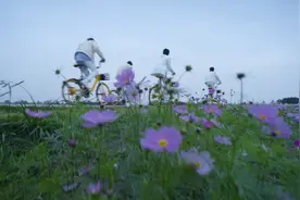 他们带着10000条弹幕，邀你像成都人那样生活图片