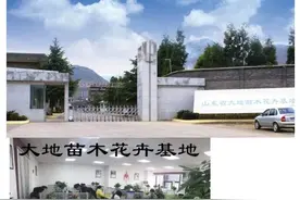 谁说拼多多不靠谱？和淘宝比较，有图有真像！我是不再上淘宝了图片