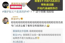 杨紫粉丝微博大骂迪丽热巴，引发微博战乱！图片