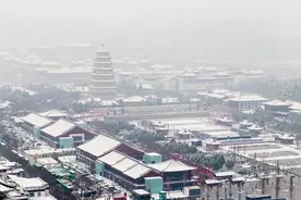 终军：灿烂又短暂的一生图片