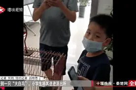 十堰两名小学生马路边玩耍时发现奇怪生物 立即报警！结局太暖了图片