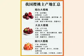 中国樱桃的主产地汇总，山东产地最广泛图片