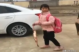 奖状？孩子考100分，学校奖励一条鱼，网友笑称：寓意，鱼跃龙门图片