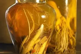 大白话说中医第十六期｜小小枸杞有妙用图片